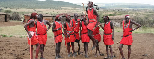 Cites African Safaris